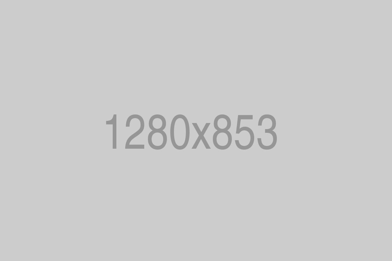divi-gear-11